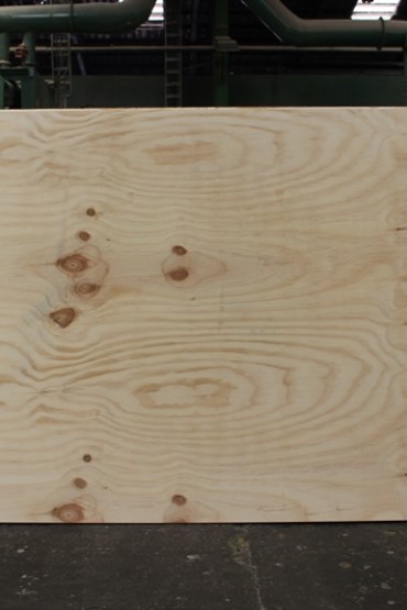 Eagon - Radiata Pine plywood